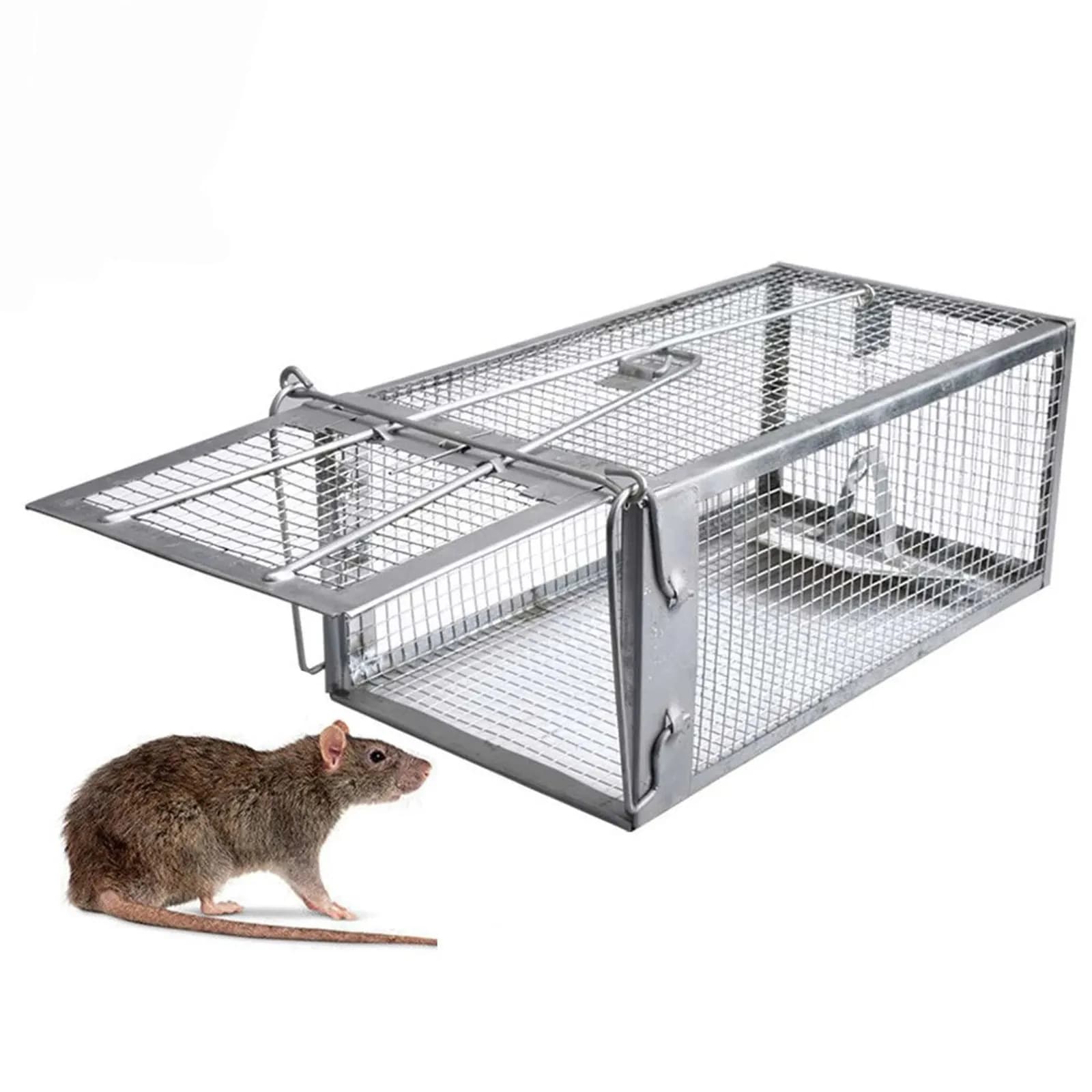 Piège à Cage humaine en direct pour écureuil, souris, Rat, rongeur, attrape-animaux pour petits animaux intérieurs et extérieurs
