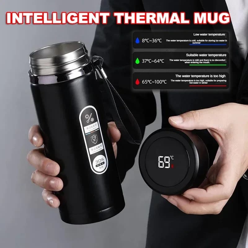 Bouteille thermos en acier inoxydable avec affichage LED de la température, bouteille d'eau à thé Sus304, d'extraction à vide, portable,