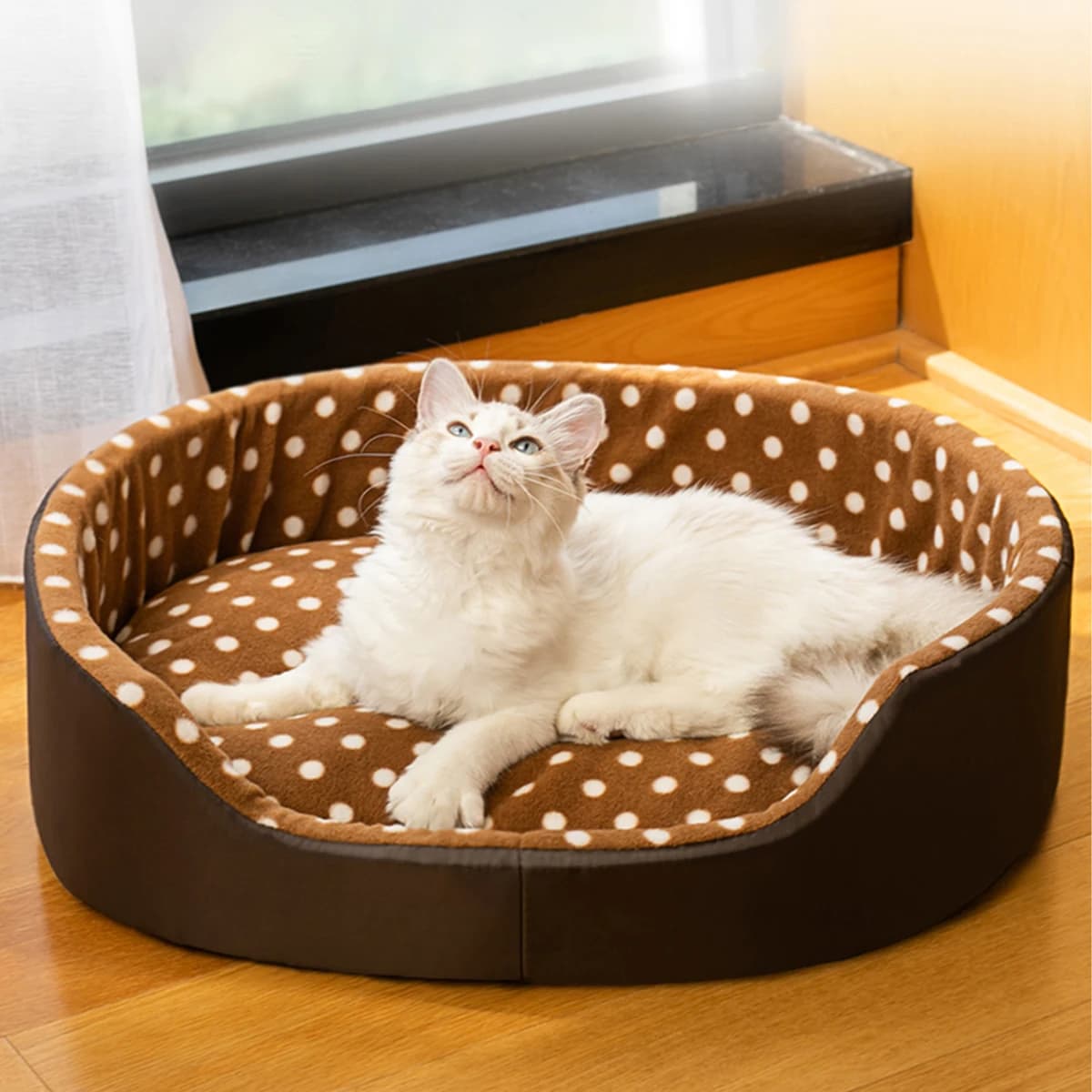 Lit pour chats, tampon éponge à pois, accessoires pour chiens, maisons et habitats, maison pour animaux de compagnie, articles pour chiots, toutes