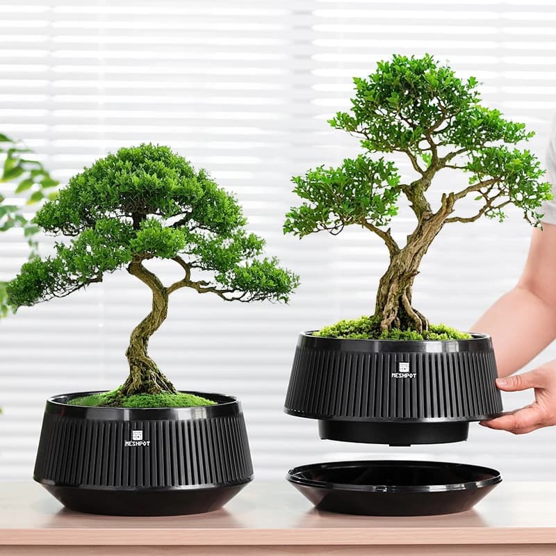 Pot à bonsaï en maille avec soucoupe, Pot de fleur en plastique avec trous d'air, jardinière pour arbre à bonsaï, plantes domestiques, Kits de