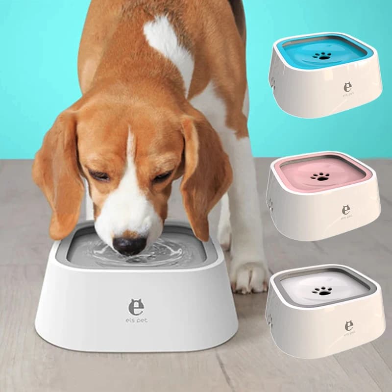Bol d'eau potable pour chien, bol flottant à bouche Non mouillante pour chat sans déversement, distributeur d'eau potable, bol en plastique