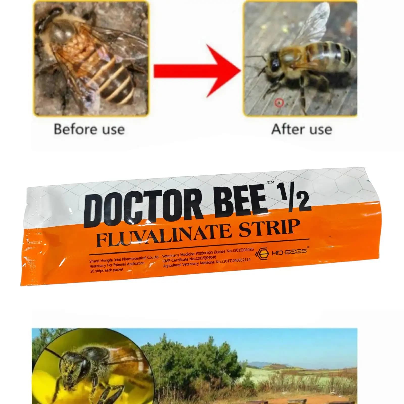 Bandelettes en plastique pour apiculture, 40 pièces, pour cadre de ruche, fournitures d'apiculture