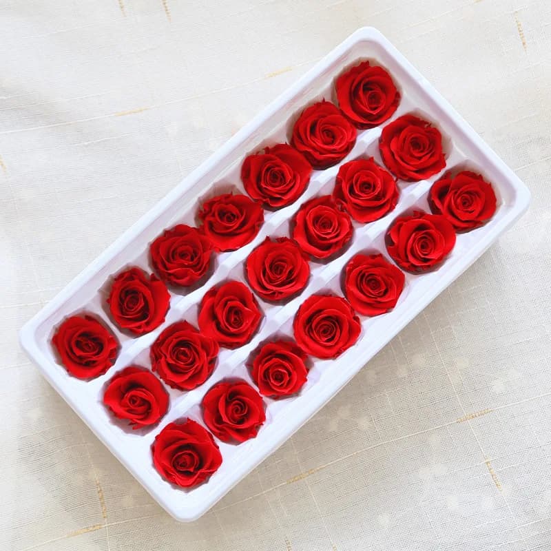 Roses éternelles hydratantes de qualité B, 21 pièces/boîte, fleurs, décoration de fête de mariage, bricolage, saint-valentin, fête des mères,