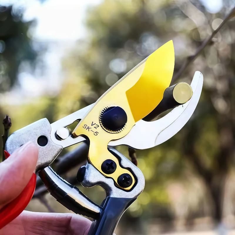 Ciseaux horticoles pour couper des Branches, des arbres fruitiers, des fleurs et tous types de plantes, lames en alliage pour une netteté et une