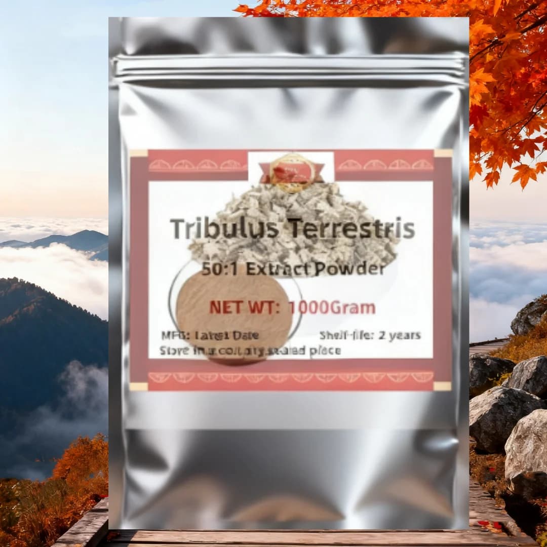 Livraison rapide mondiale Tribulus Terrestris 50:1 Emballage personnalisé en usine