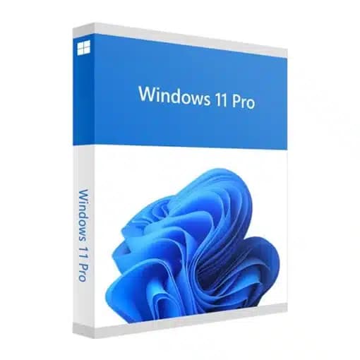 WINDOWS 11 Professional - 1PC - RETAIL - CD Key