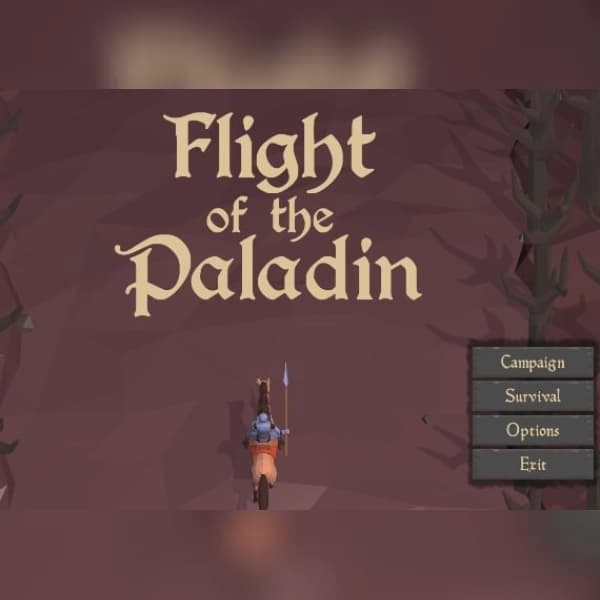 Flight of the Paladin (PC) Steam Key - GLOBAL