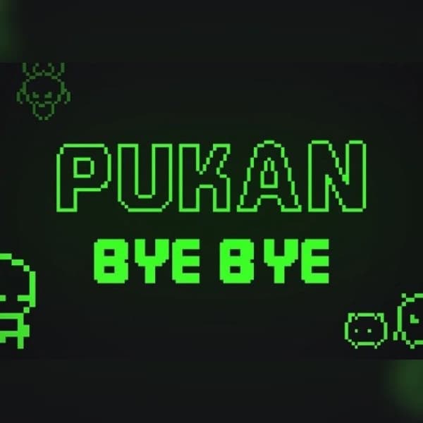 Pukan Bye Bye (PC) Steam Key - GLOBAL