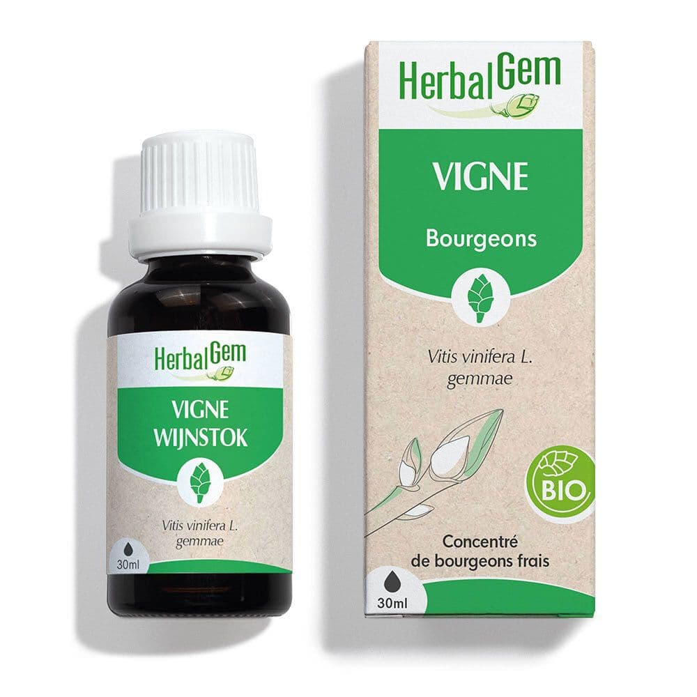 HerbalGem Wijnstok Bio 30 Druppels