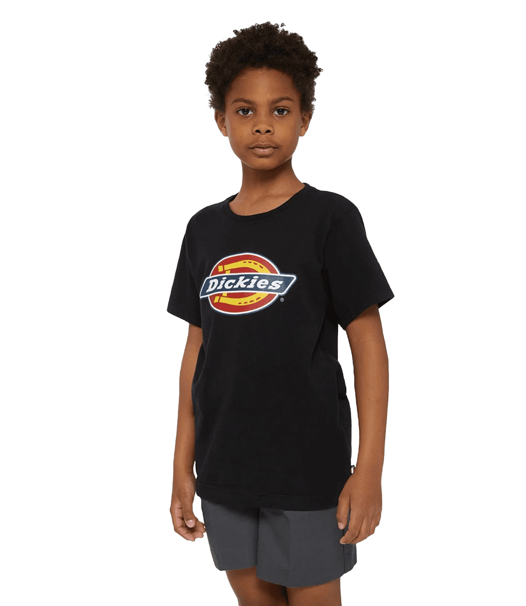 DICKIES Logo Tee - Knit Black