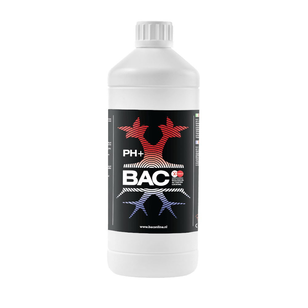 BAC BAC PH+