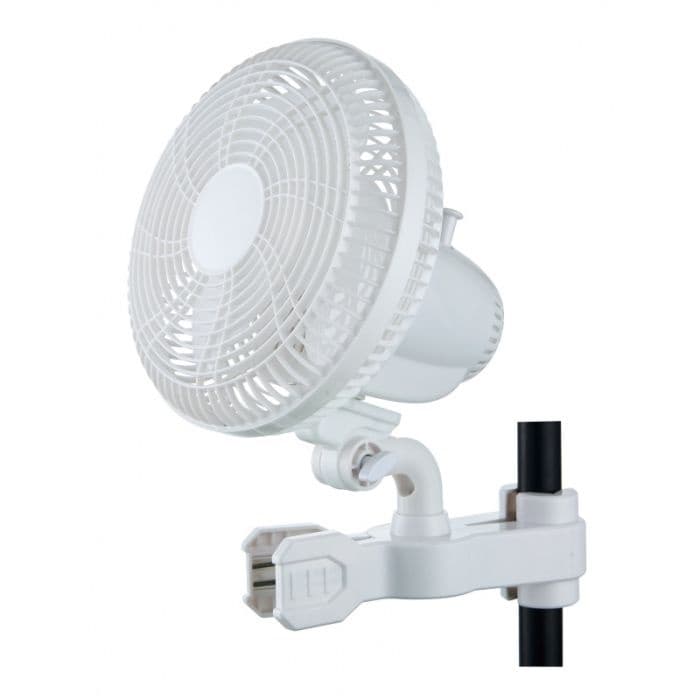 Hortistar Hortistar Monkeyfan