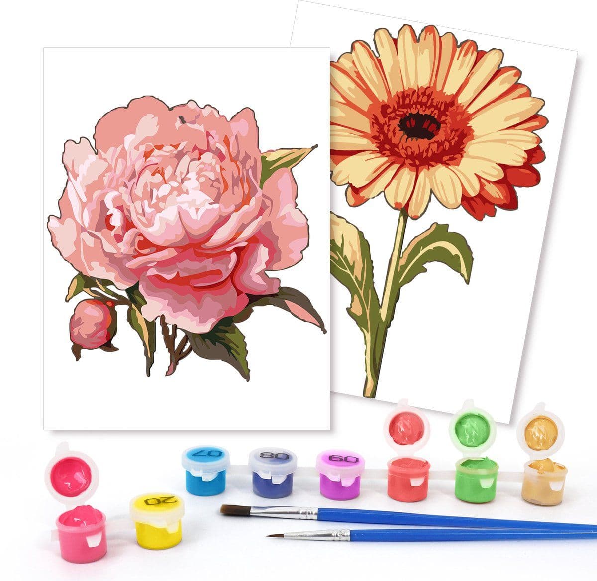 Rubye® Schilderen Op Nummer - Roos & Zonnebloem - Complete Set met Verf en Kwasten - 15x20cm (2 stuks)