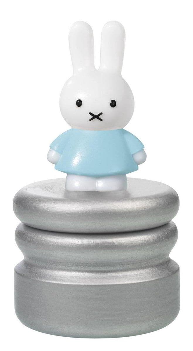 Nijntje houten tandendoosje, variant blauw - kraamcadeau baby bewaardoosje - Bambolino Toys