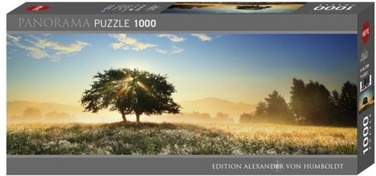 Heye Puzzel Panorama Play of Light 1000