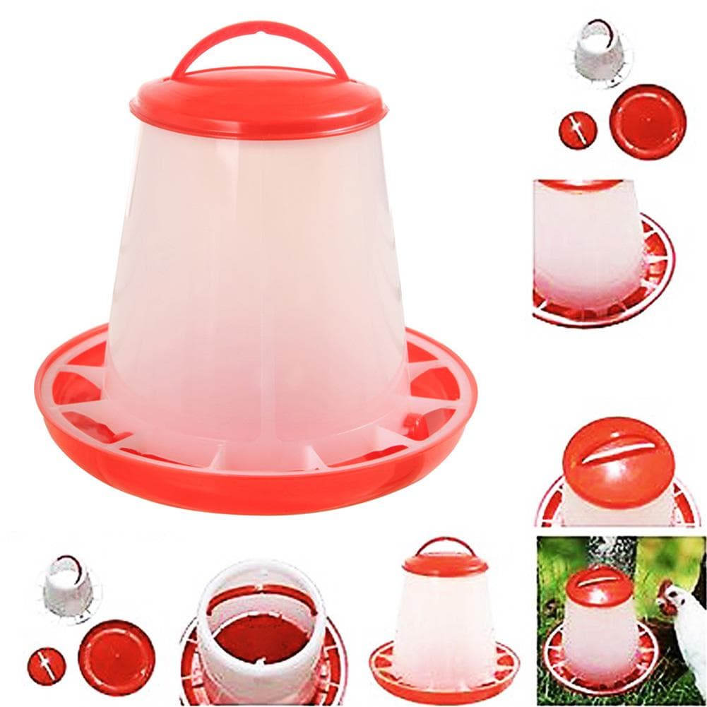 Distributeur automatique d'aliments pour volailles, poulets, volailles, élevage, eau, nourriture