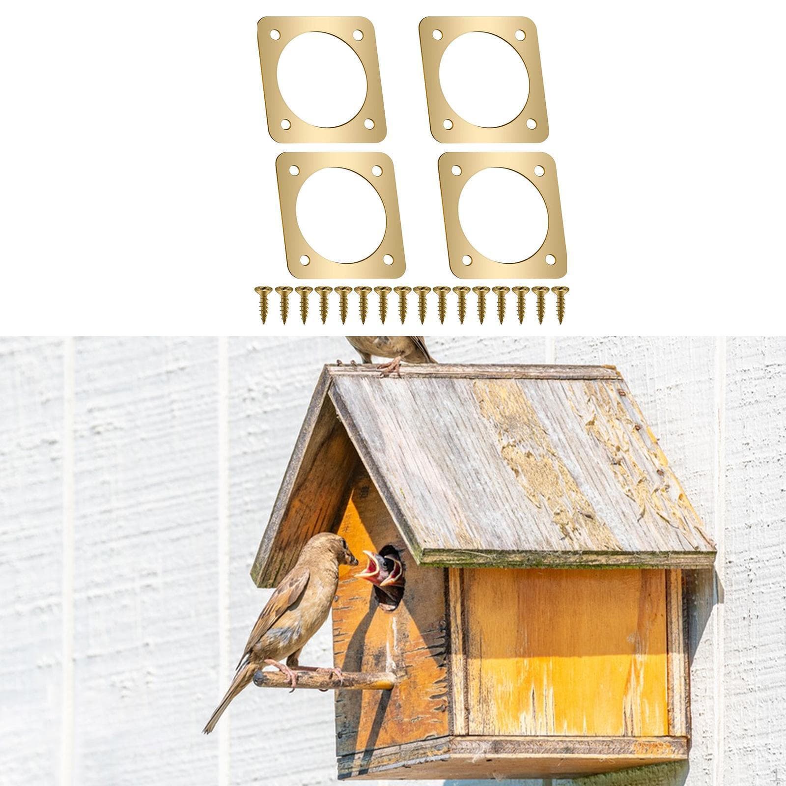 Protection pour nichoir, Garde-nid en métal, Robuste, Protège, L'entrée