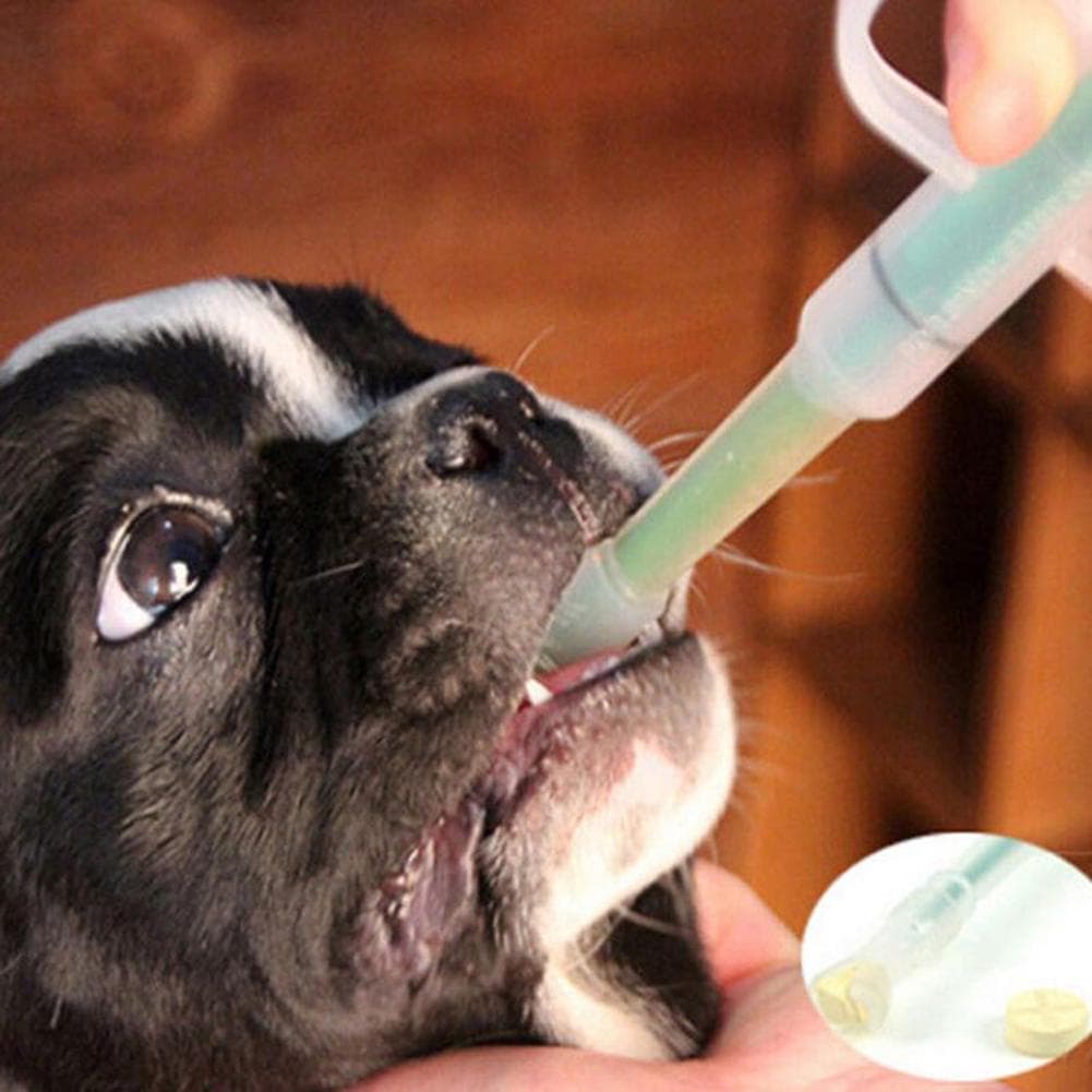 Outil d'alimentation Transparent pour chien et chat, pilule pour animaux de compagnie, distributeur de médicaments, injecteur, seringue vert