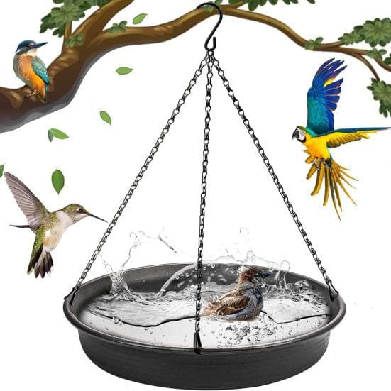 Bain pour colibris suspendu Bol en métal avec chaîne antirouille Construction durable Facile à installer Mangeoire à nourriture pour colibris de