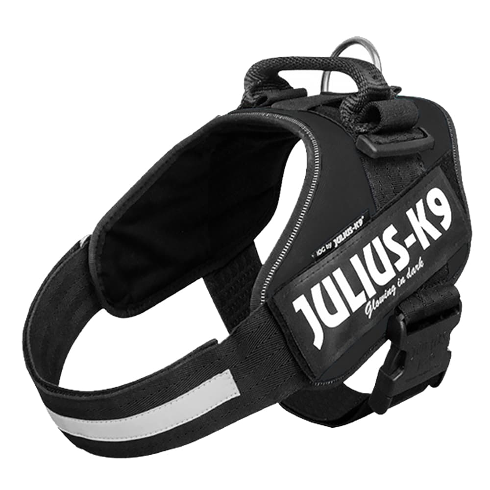 Lot : harnais + laisse double caoutchoutée JULIUS-K9® pour chien - harnais taille 2 : tour de poitrail 71 - 96 cm + laisse L 220 x l 2 cm