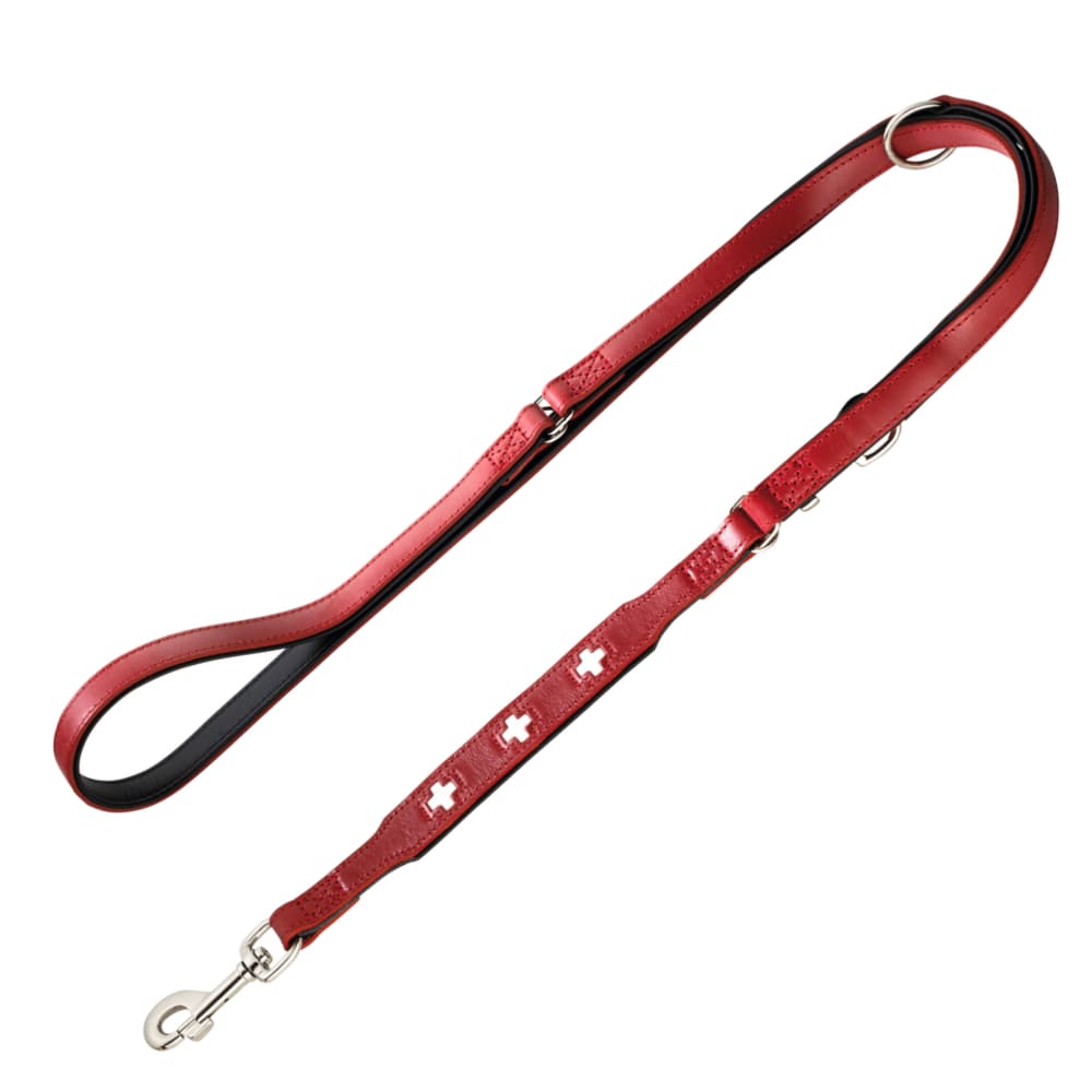 Laisse réglable pour chien Hunter Swiss - L 200 x l 1,8 cm