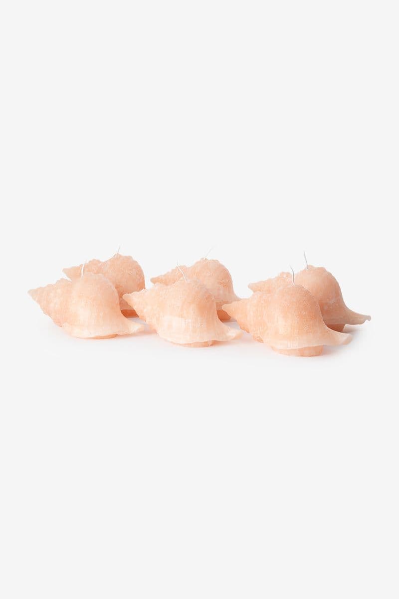 Bougie Coquillage - Orange Clair