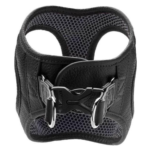 Hunter Hilo servies (XS, XXS, Hond), Kraag + Leiband