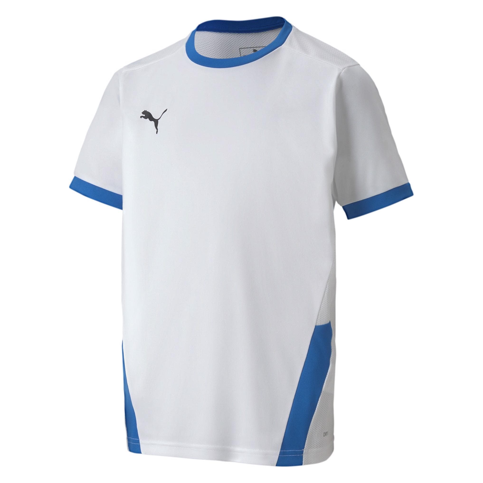 Puma, Jongens, Sportief shirt, teamGOAL 23 Jersey jr-704160 (140), Wit, 140