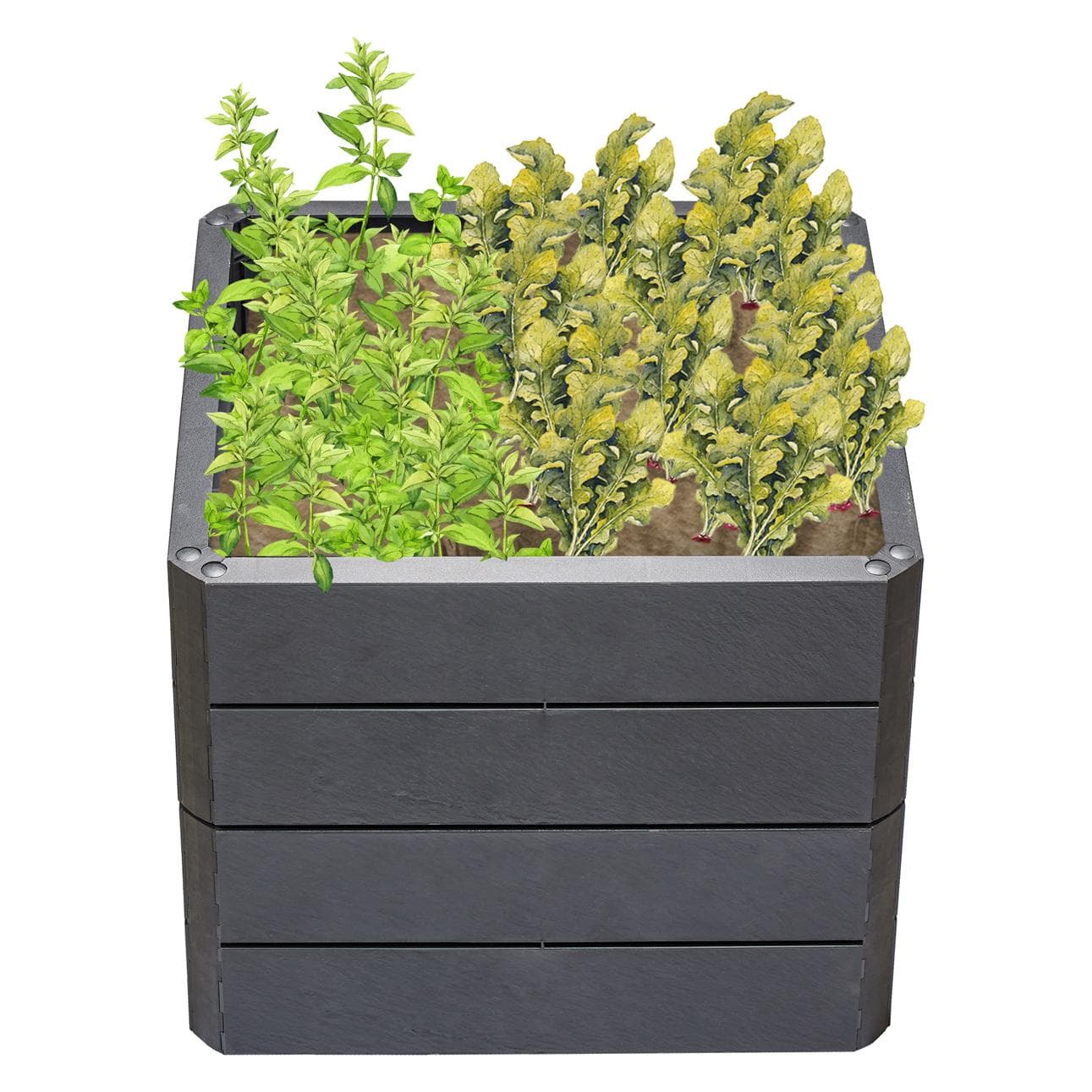 Garantia, Verhoogd bed, Ergo Quadro S 50