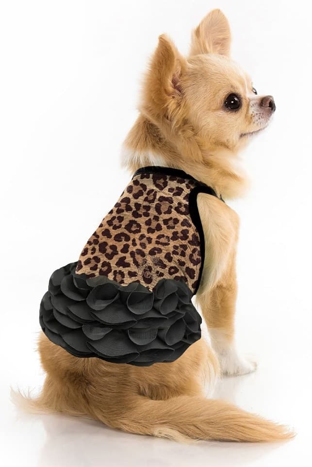 I Love My Dog - Hondentruitje 260 BLK Leopard