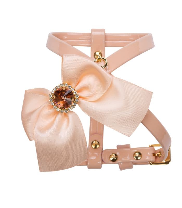 Charlotte's Dress - Harnas Betty Apricot Rose