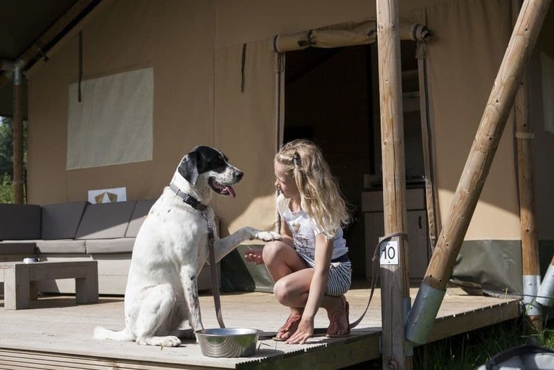 Luxe safaritent aan het water - 6 personen