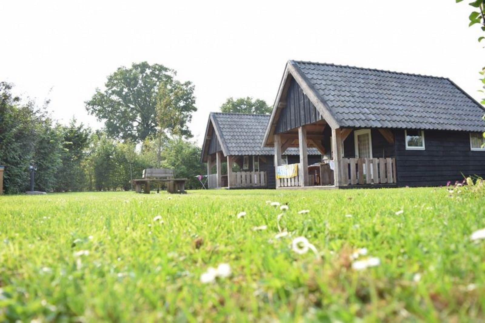 Houtlodge - 18 personen