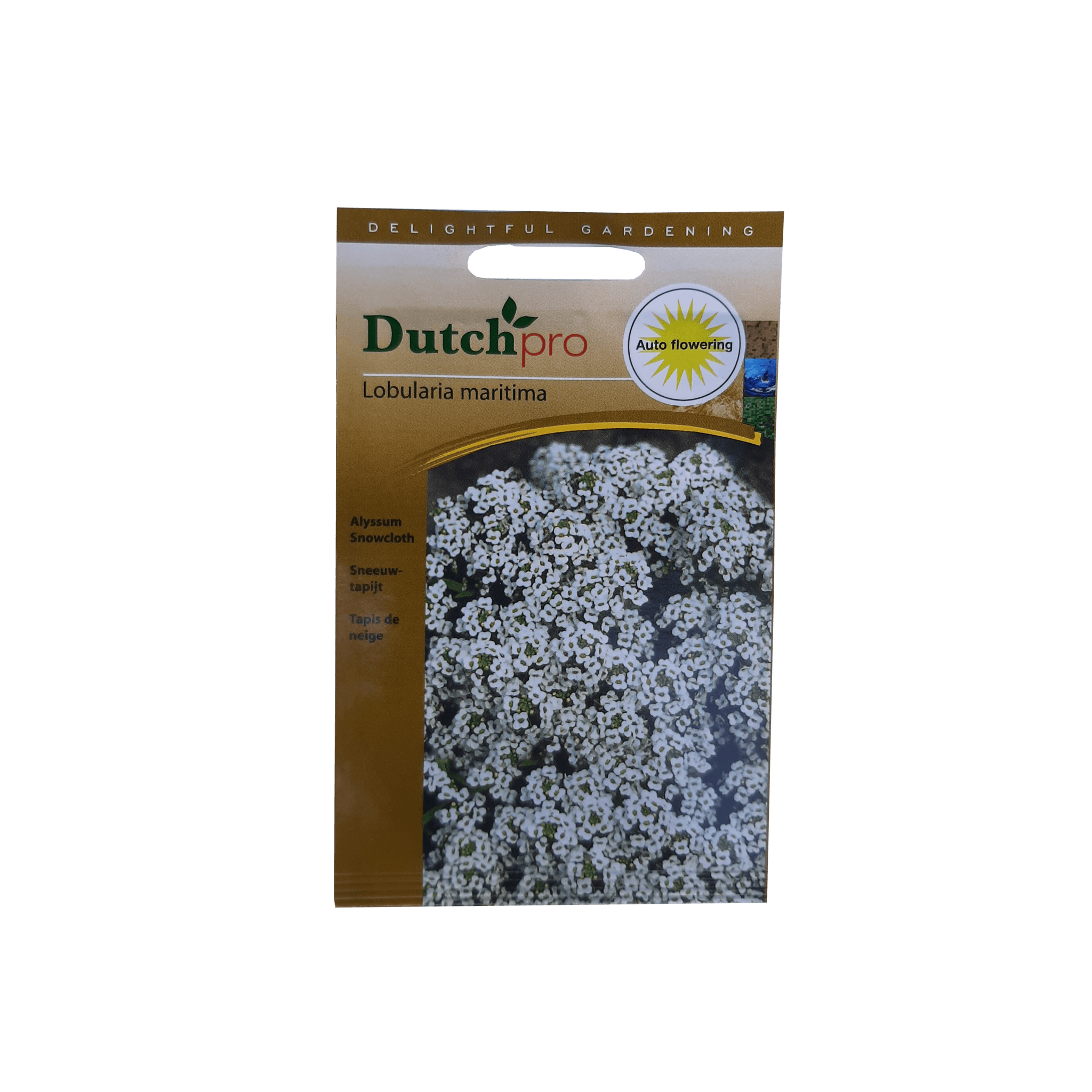 Dutch Pro Dutch Pro - Sneeuwtapijt
