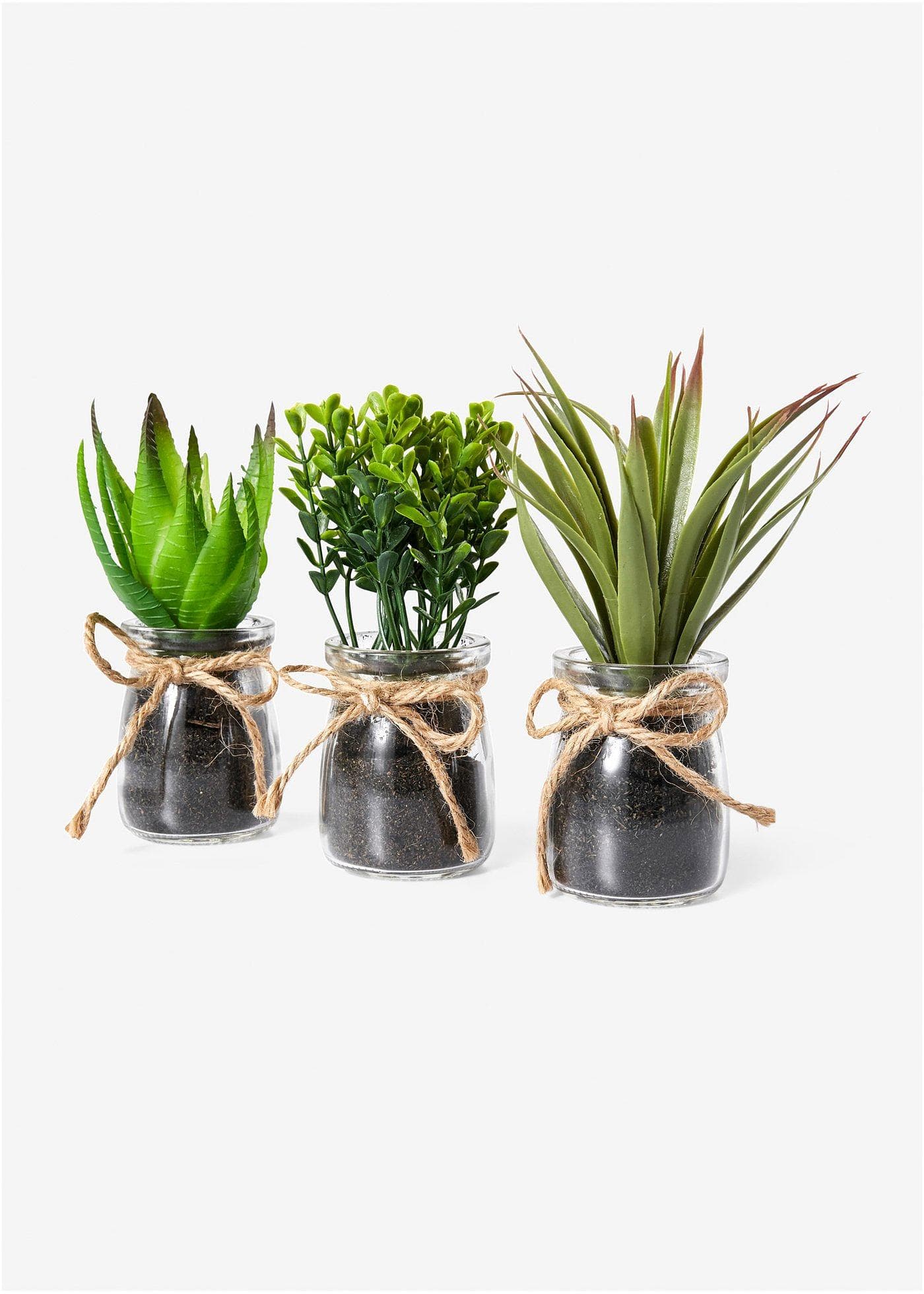 Succulentes artificielles en pot de verre (Ens. 3 pces.)