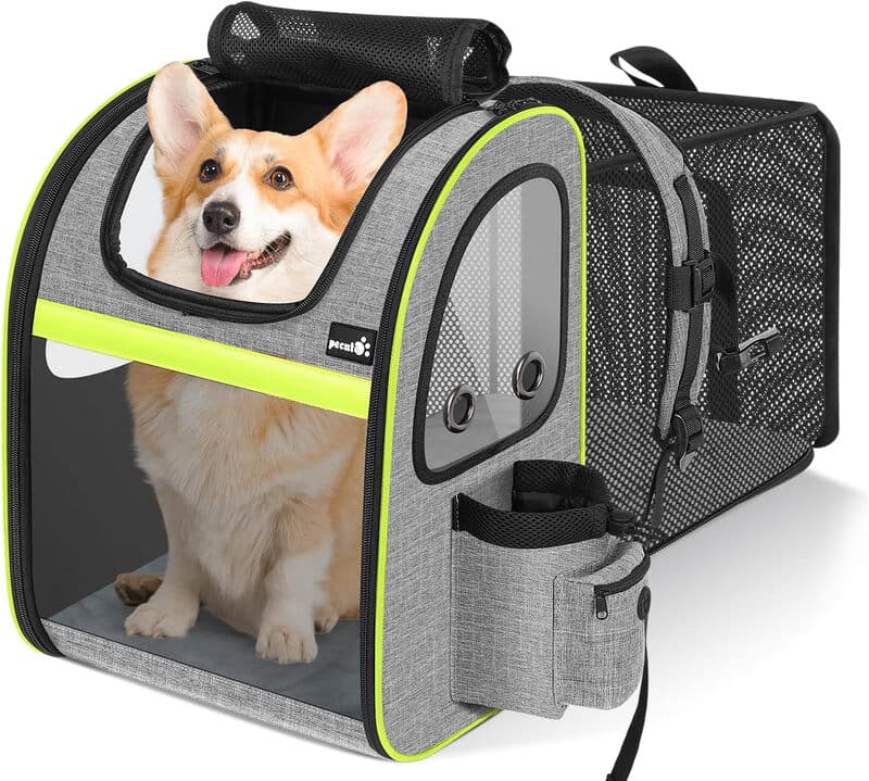 Pecute Haustier-Rucksack, Größe L, erweiterbar, geeignet für Katzen bis 11 kg oder Hunde bis 10 kg, atmungsaktiver Mesh-Stoff, für mittelgroße
