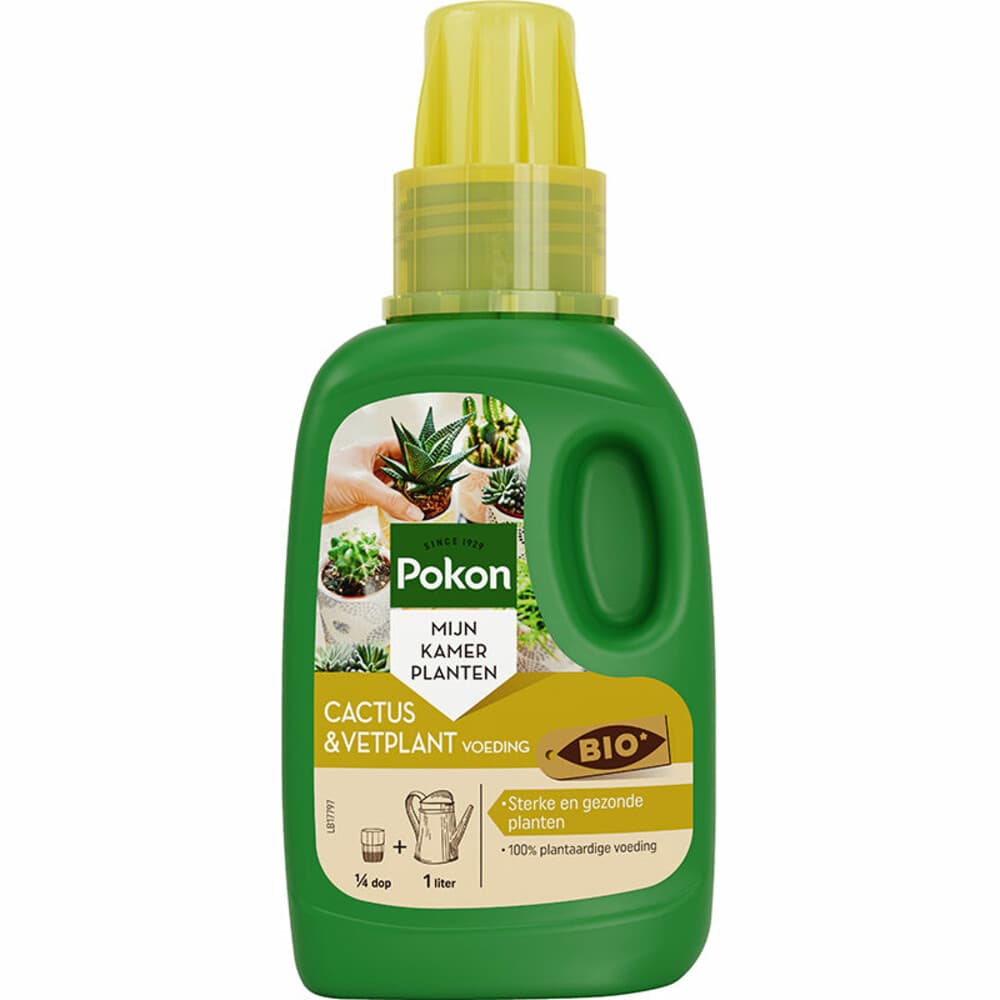 Pokon Planten Voeding Cactus en Vetplant 250 ml