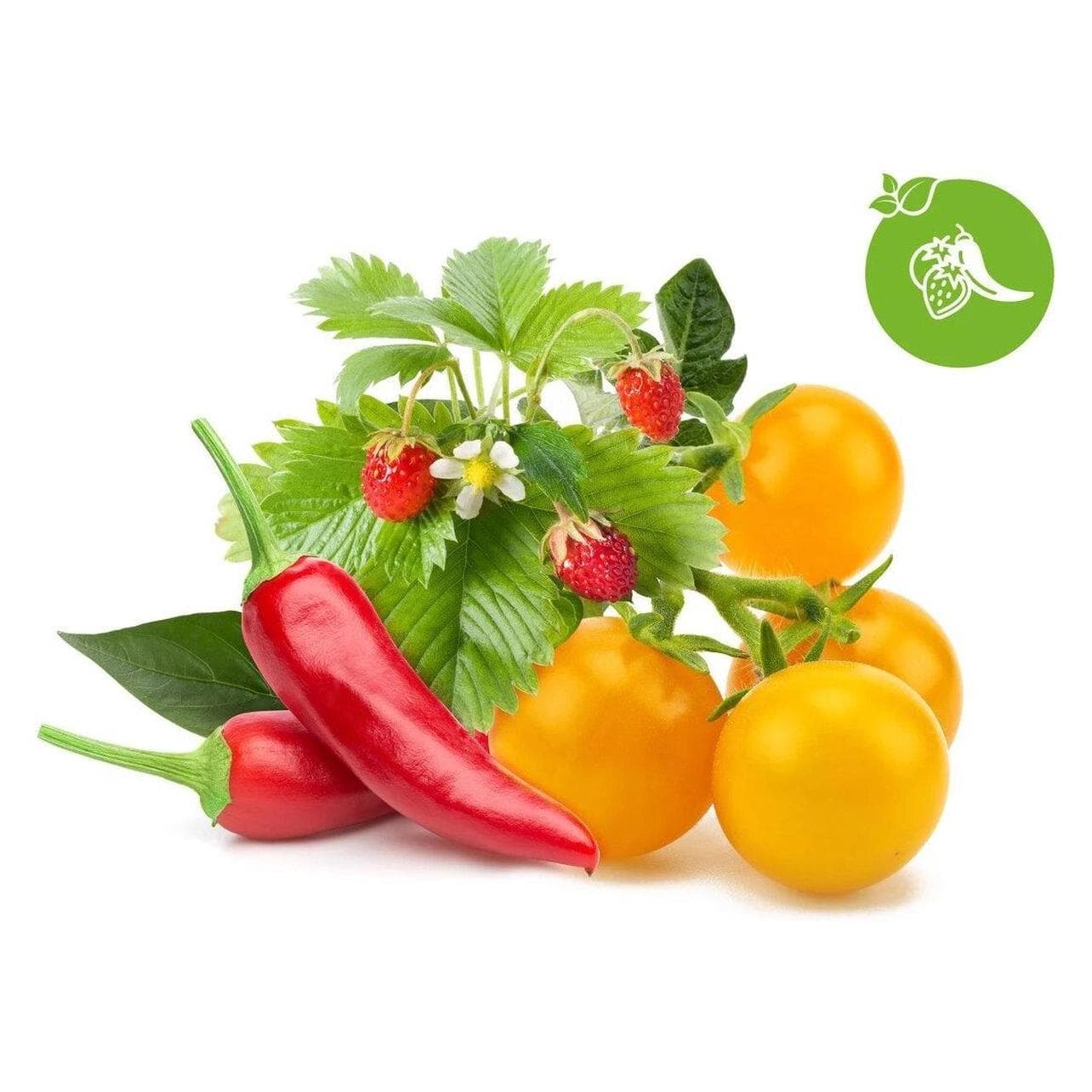 Click and Grow, Zaden, Click&Grow zaden Slimme fruitmix ir daržovės 9-pack (Groentezaden)