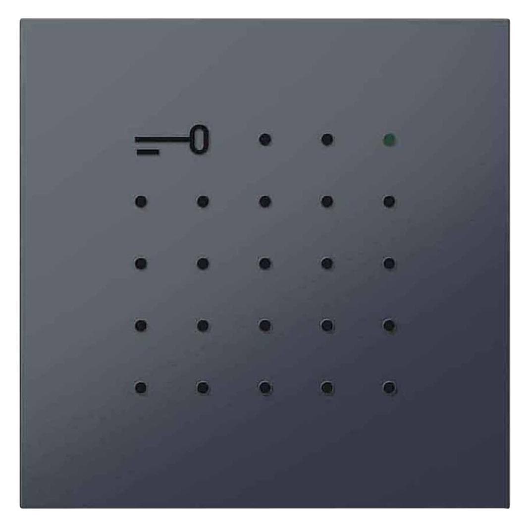 Siedle, Accessoires voor gebouwbeveiliging, Module voor elektronische sleutellezer