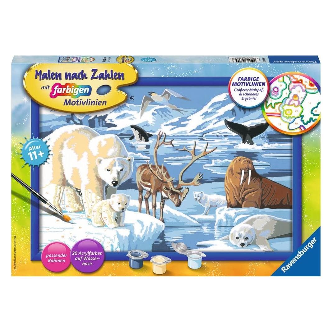Ravensburger Dieren van het Noordpoolgebied