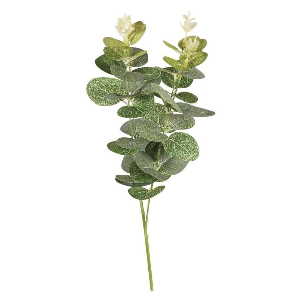 Rayher, Kunstmatige planten, Eucalyptus tak plastic (5 cm)