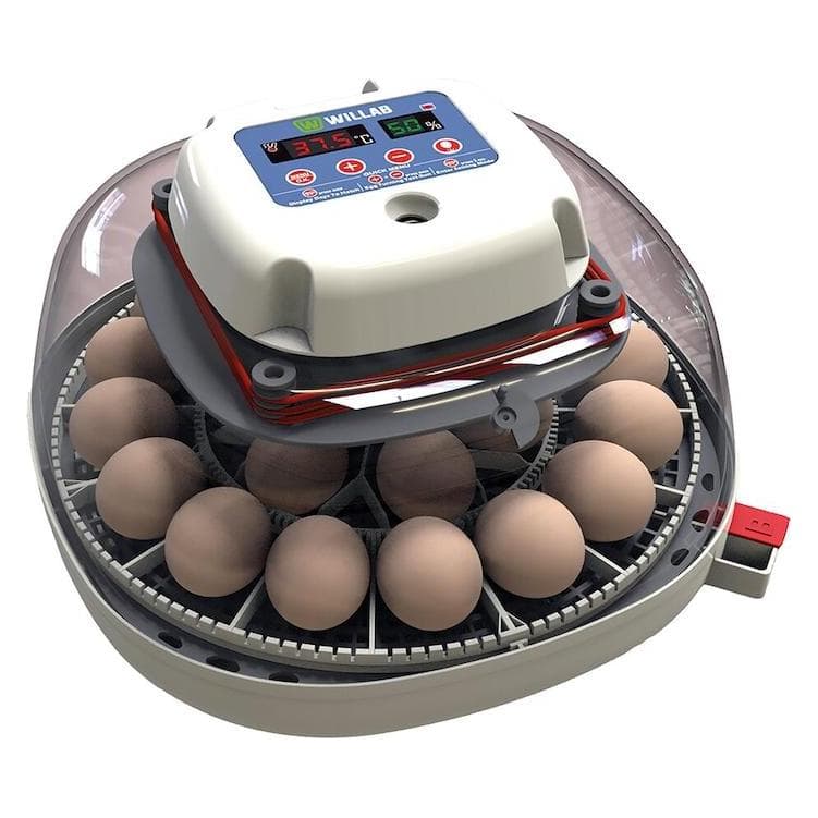 Magni, FI stroomonderbreker, Willab - Egg incubator with room for 22 eggs - fully automated