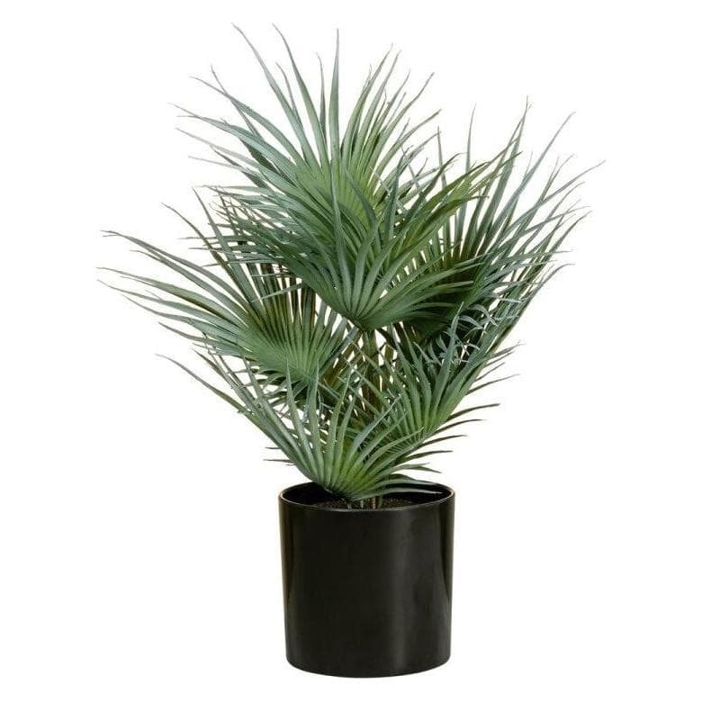 Europalms, Kunstmatige planten, Waaierpalm, kunstplant, 55cm