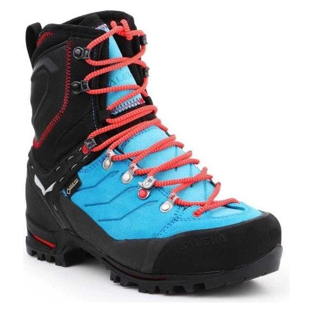 Salewa, Vrouwen, Wandelschoenen, Vultur Evo GTX schoenen (37.5), Blauw