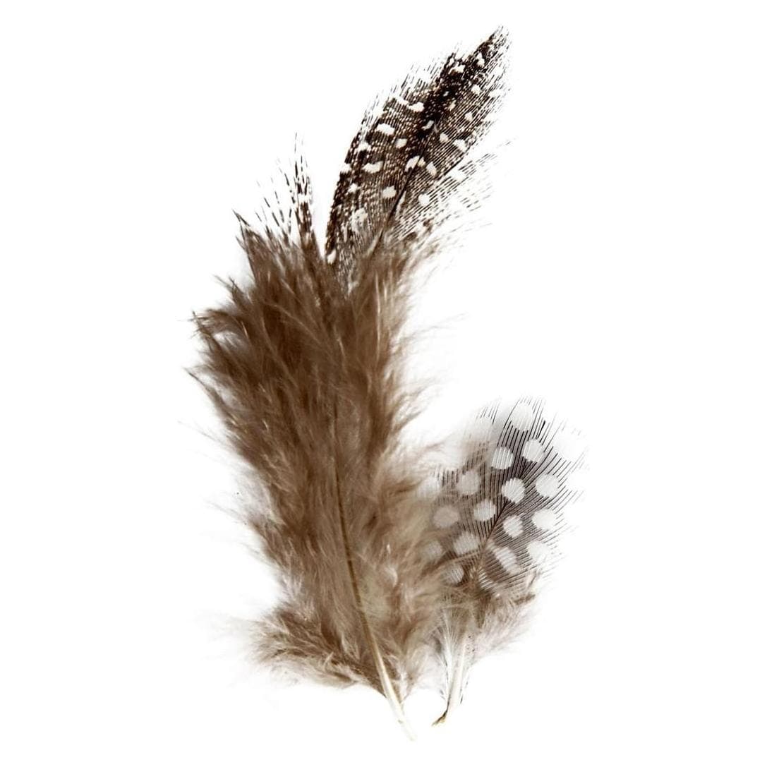Creativ Company, Natuurlijke materialen, Veren van parelhoenders
