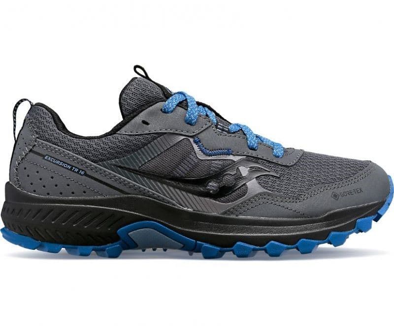 Excursion Tr16 Gtx Hardloopschoen Dames Grey 38+