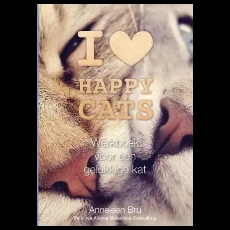Werkboek voor een gelukkige kat | Anneleen Bru